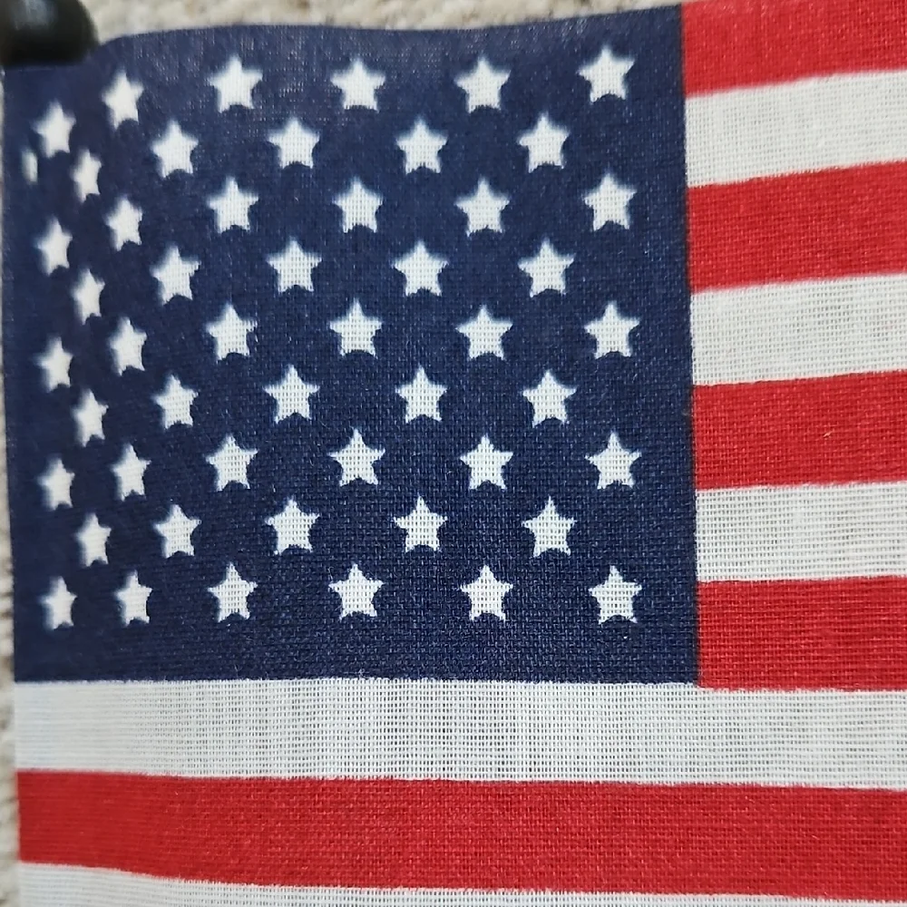 Patriotic American Flag Party Decorations